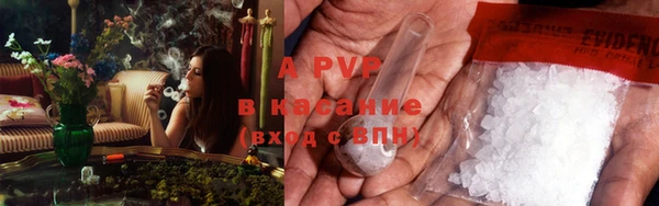 PSILOCYBIN Балабаново