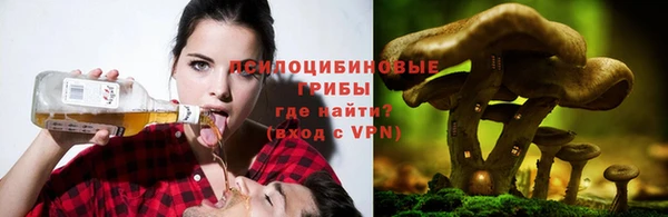 дмт Баксан