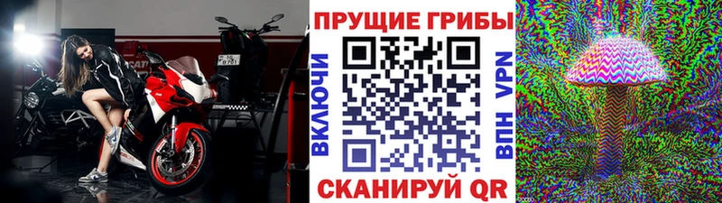 Псилоцибиновые грибы Magic Shrooms Суворов